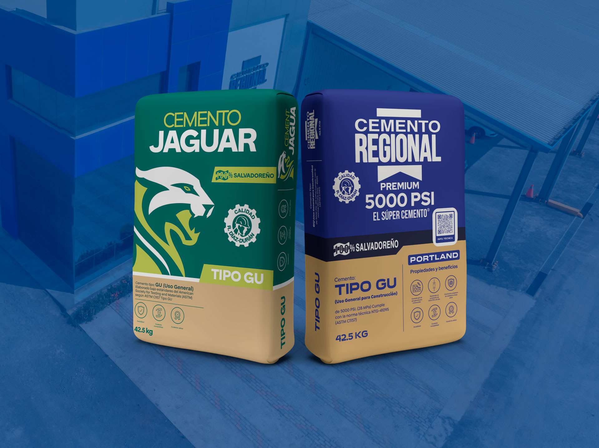 Sacos de Cemento Regional